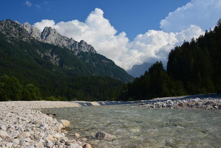 Rooms Barovc By The Lake Jasna Kranjska Gora Exterior photo The river in the park